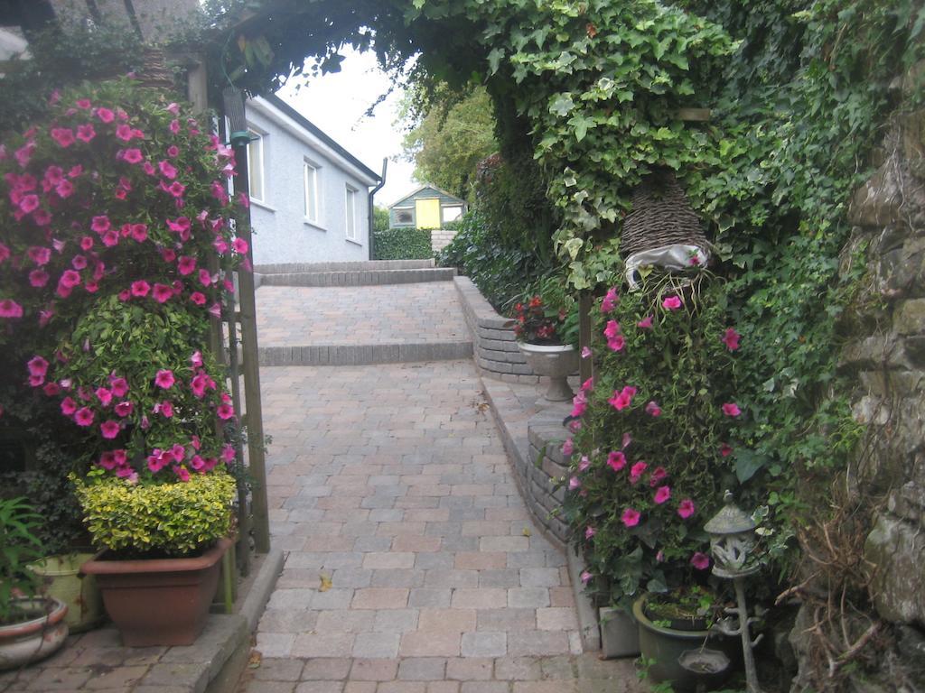 מונהאן Ashleigh House Bed & Breakfast מראה חיצוני תמונה