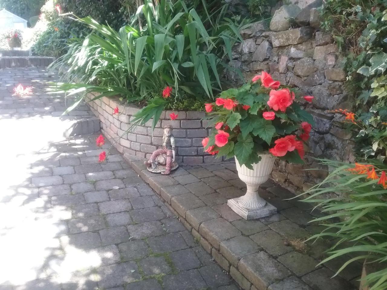 מונהאן Ashleigh House Bed & Breakfast מראה חיצוני תמונה